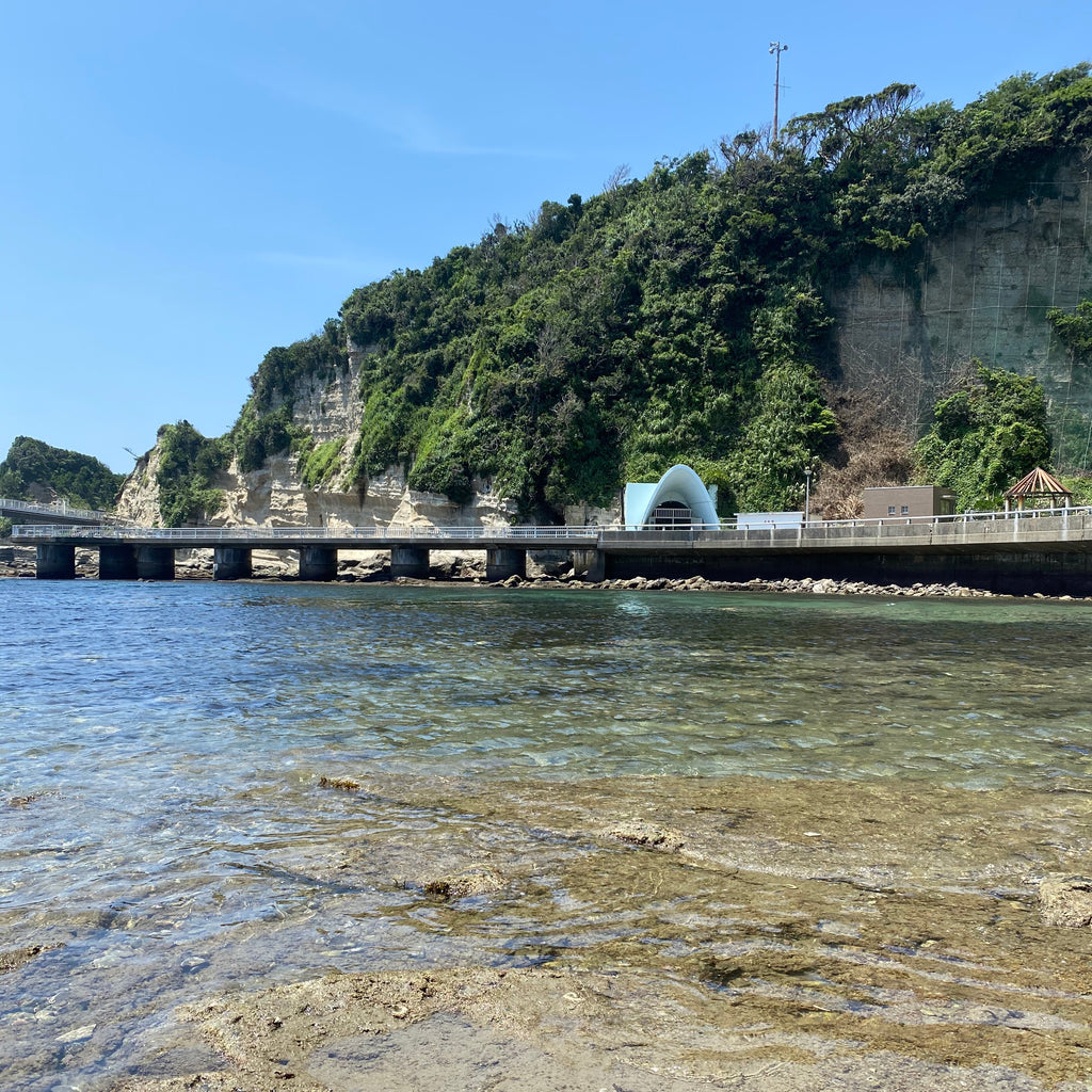 今年の夏の過ごし方